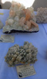 XII Mesa de Intercambio de MInerales de Alicante