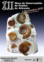 XII Mesa de Intercambio de MInerales de Alicante