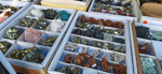 XI Mesa de Intercambio de MInerales de Alicante