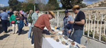 XI Mesa de Intercambio de MInerales de Alicante