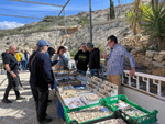 XI Mesa de Intercambio de MInerales de Alicante