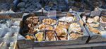 XI Mesa de Intercambio de MInerales de Alicante