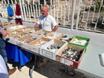 XI Mesa de Intercambio de MInerales de Alicante