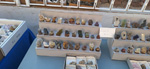 XI Mesa de Intercambio de MInerales de Alicante