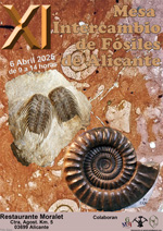 XI Mesa de Intercambio de MInerales de Alicante