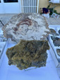 XI Mesa de Intercambio de MInerales de Alicante