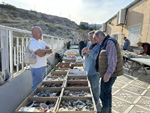 XI Mesa de Intercambio de MInerales de Alicante
