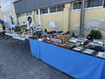XI Mesa de Intercambio de MInerales de Alicante