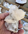 XI Mesa de Intercambio de MInerales de Alicante