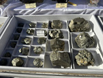 XI Mesa de Intercambio de MInerales de Alicante