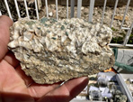 XI Mesa de Intercambio de MInerales de Alicante