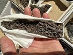 XI Mesa de Intercambio de MInerales de Alicante