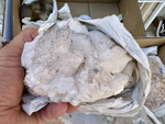 XI Mesa de Intercambio de MInerales de Alicante