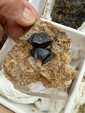 Mesa de Minerales de Deifontes. Granada