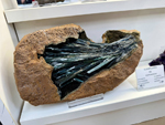 Mesa de Minerales de Deifontes. Granada