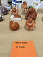 Mesa de Minerales de Deifontes. Granada