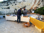 XIII Mesa de Intercambio de Minerales y Fósiles de Alicante