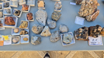 XIII Mesa de Intercambio de Minerales y Fósiles de Alicante