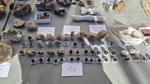 XIII Mesa de Intercambio de Minerales y Fósiles de Alicante