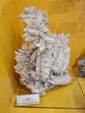 Museo Minero de La Unión