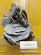 Museo Minero de La Unión