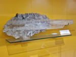 Museo Minero de La Unión