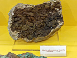 Museo Minero de La Unión
