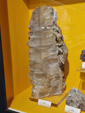 Museo Minero de La Unión